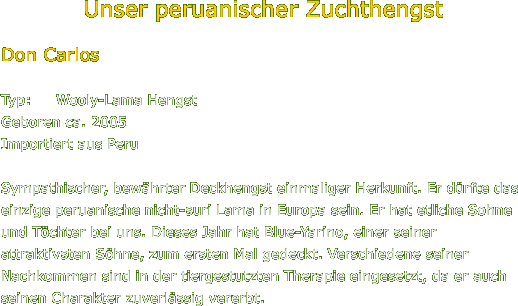 Unser peruanischer Zuchthengst