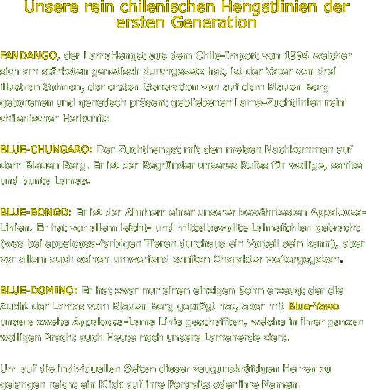 Unsere rein chilenischen Hengstlinien der