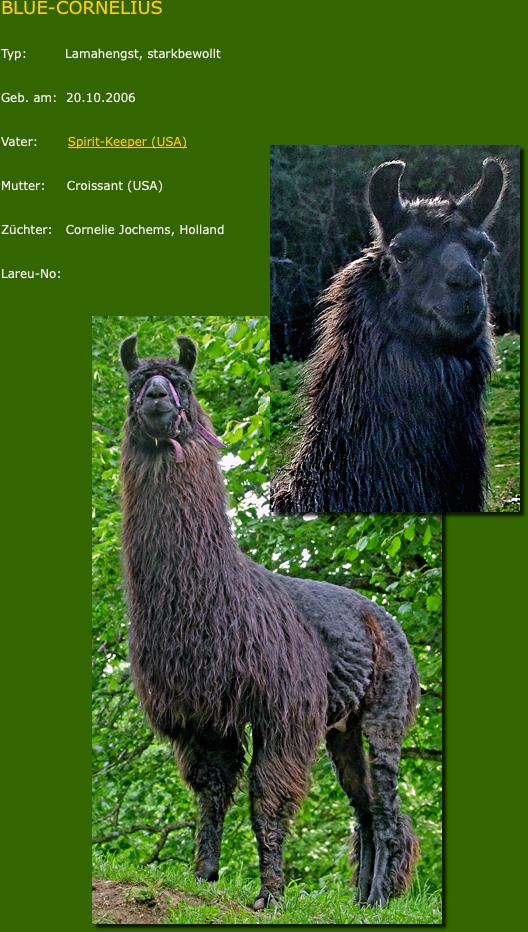 LamahengsteCornelius01