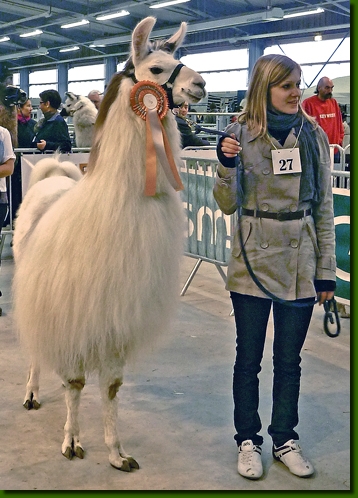 LamahengsteDonJuan10