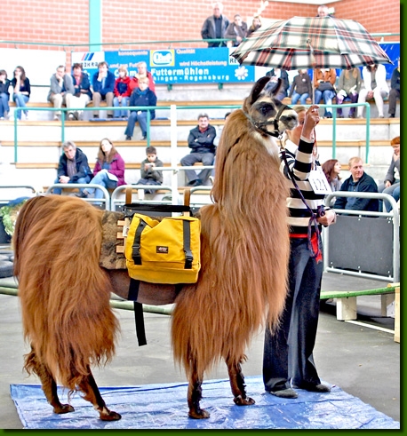 LamahengsteRossellini02