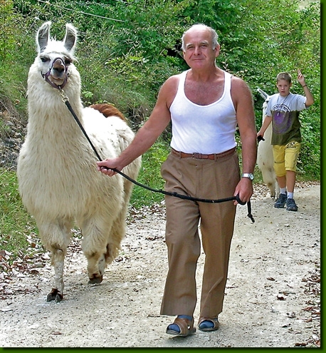 LamahengsteTiwanaku05