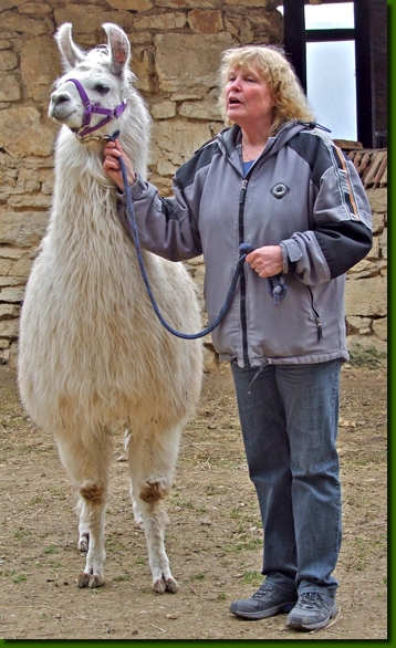 LamastutenBiancaIlona