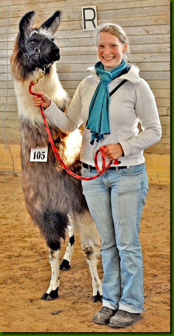 LamastutenYacondaMiri